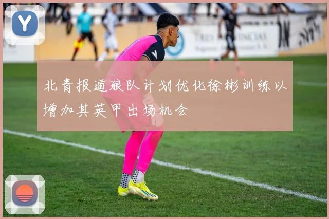 北青报道狼队计划优化徐彬训练以增加其英甲出场机会